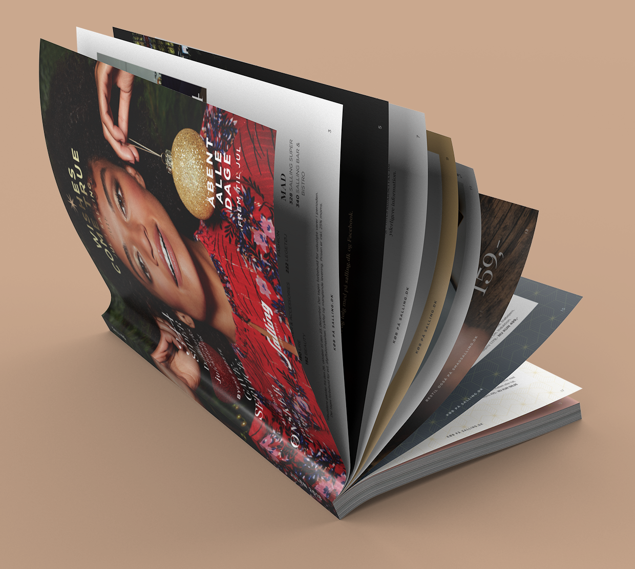 Salling_Book_01_color_a.png